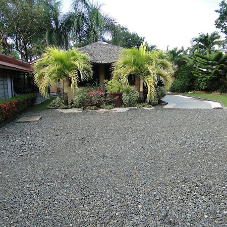 Susan'S Place Bed And Breakfast 푸에르토프린세사 외부 사진